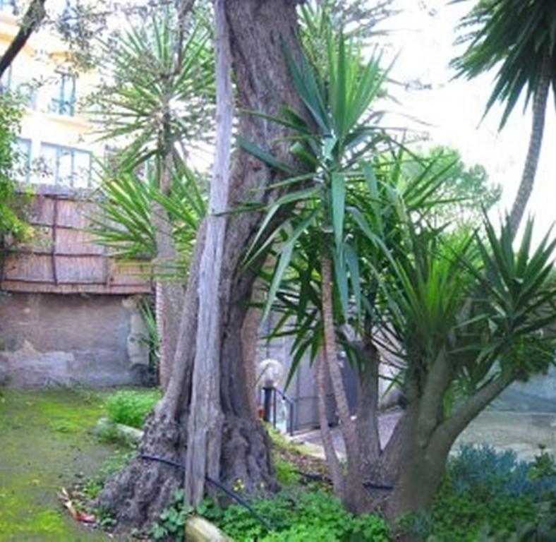 Villa Orchidea Sorrento Rom bilde